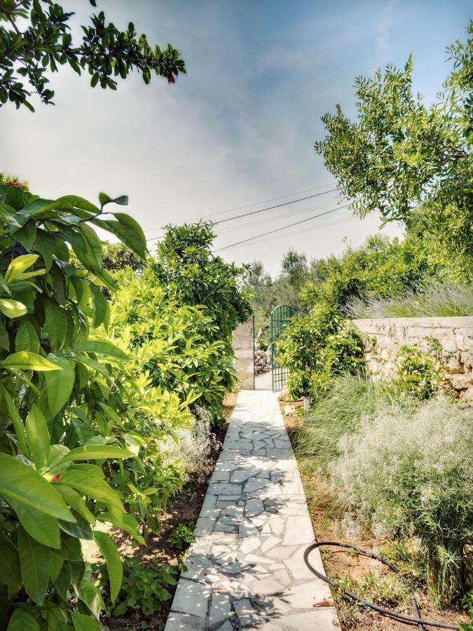 Apartmani Ela Prvic Luka Bagian luar foto